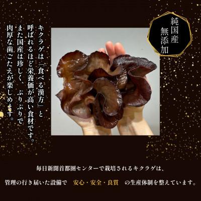 ふるさと納税 川口市 彩のきくらげ　生きくらげ500g　埼玉県産 |  | 01
