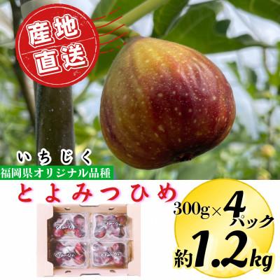 ふるさと納税 広川町 [2026年9月中旬より発送]とよみつひめ 約1.2kg(約300g×4パック)(広川町)