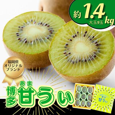 ふるさと納税 広川町 [2026年11月上旬発送開始]甘さ溢れるキウイフルーツ『博多甘うぃ』大玉9玉約1.4kg(広川町)