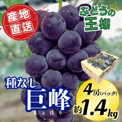 ふるさと納税 広川町 [2026年7月より順次発送開始]種なし巨峰の甘さと食感を堪能 約1.4kg 先行予約(広川町)