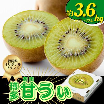ふるさと納税 広川町 [2026年11月上旬発送開始]甘さ溢れるキウイフルーツ博多甘うぃ計3.6kg(20〜30玉)広川町