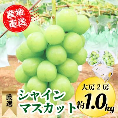 ふるさと納税 広川町 [2026年9月上旬より順次発送]シャインマスカット大房2房 約1kg(広川町)