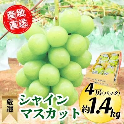 ふるさと納税 広川町 [2026年8月下旬より順次発送]シャインマスカット4P 約1.4kg(広川町)