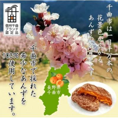 ふるさと納税 千曲市 千曲の干し杏 120g×2袋 |  | 01