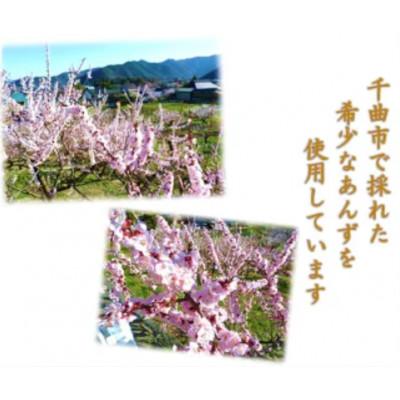 ふるさと納税 千曲市 千曲の干し杏 120g×2袋 |  | 03