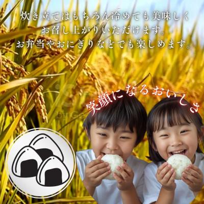 ふるさと納税 西桂町 【令和7年産】山梨県西桂町産 富士山麓「水のまち」のこしひかり精米合計4kg(2kg×2袋) |  | 02