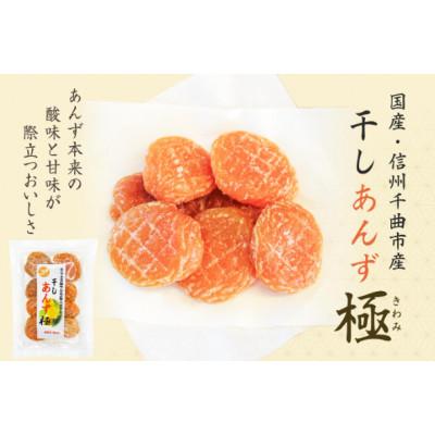 ふるさと納税 千曲市 干しあんず 極 165g