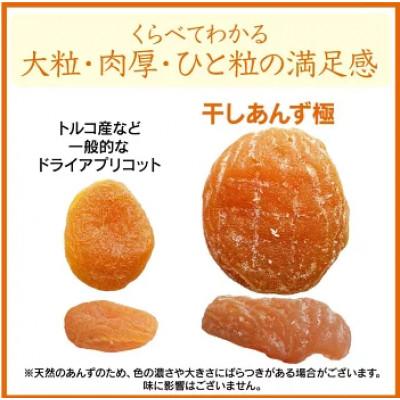 ふるさと納税 千曲市 干しあんず 極　165g |  | 02