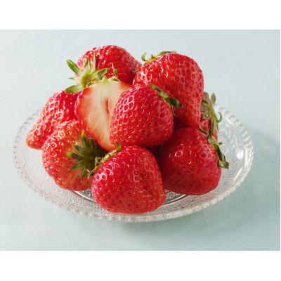 ふるさと納税 東かがわ市 [出荷最盛期・感謝企画]数量限定!!さぬきひめいちご 約500g