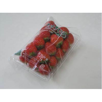 ふるさと納税 東かがわ市 [期間限定]可愛い丸々小粒さぬきひめいちご 約1kg