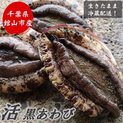ふるさと納税 館山市 【先行予約】【金曜日発送】漁師直送!天然活黒アワビ約500〜600g(1〜2枚) |  | 01