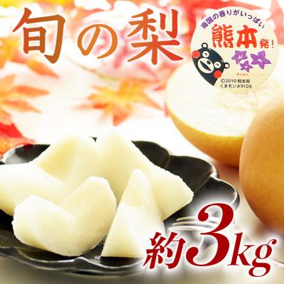 ふるさと納税 菊池市 旬の梨 品種おまかせ 5〜12玉 約3kg(菊池市)