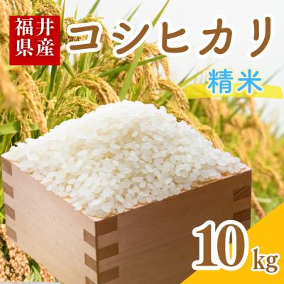 ふるさと納税 小浜市 [令和7年産]福井県産こしひかり白米10kg