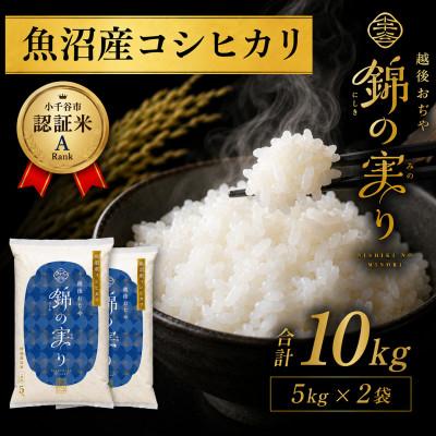 ふるさと納税 小千谷市 令和8年産 魚沼産コシヒカリ 精米 10kg 小千谷
