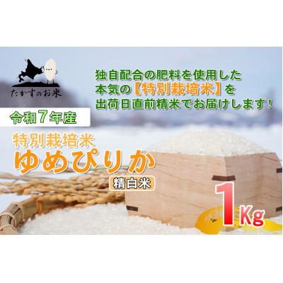 ふるさと納税 鷹栖町 [令和7年産]たかすのお米「特別栽培米 ゆめぴりか」1kg(精白米)