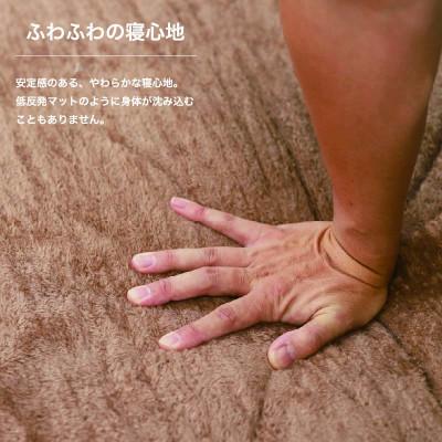 ふるさと納税 河内長野市 マルチエアマット NEO-LUX LW (Long Wool) 長毛インフレータブルマット W828 |  | 01