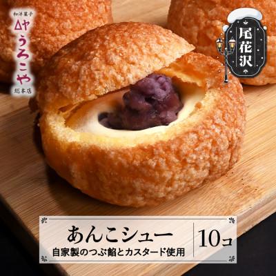 ふるさと納税 尾花沢市 あんこシュー 10個入り シュークリーム うろこや us-swasx10