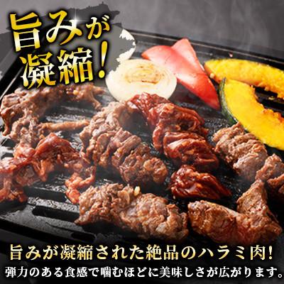 ふるさと納税 直方市 【訳あり】たれ漬け牛ハラミ肉 2.1kg |  | 01