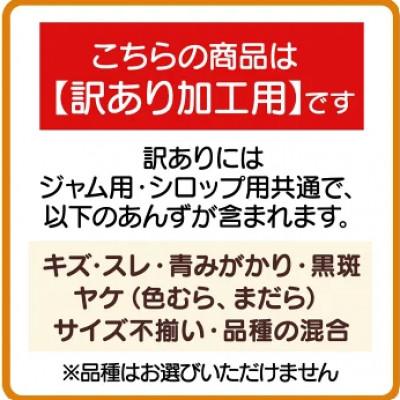 ふるさと納税 千曲市 【2026年先行予約】長野県千曲市産 加工用(訳あり)生あんず 約10kg(5kg×2)_1