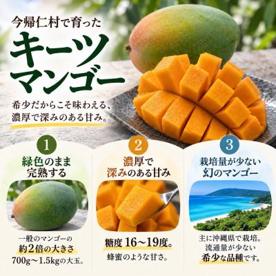 ふるさと納税 今帰仁村 【2027年8月下旬から順次発送・家庭用】仲本マンゴー園の幻のキーツマンゴー1kg(1〜2玉) |  | 01