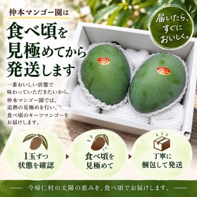 ふるさと納税 今帰仁村 【2027年8月下旬から順次発送・家庭用】仲本マンゴー園の幻のキーツマンゴー1kg(1〜2玉) |  | 02