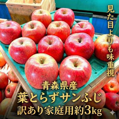 ふるさと納税 青森市 【26年4月〜5月中旬予定】平均糖度13度以上! 葉とらずサンふじ 約3kg 訳あり 青森りんご