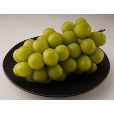 ふるさと納税 小豆島町 [お試し用]シャインマスカット 約550g