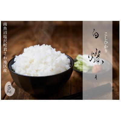 ふるさと納税 南魚沼市 [令和7年産新米]南魚沼君沢産こしひかり 白燦々5kg[玄米](従来品種)