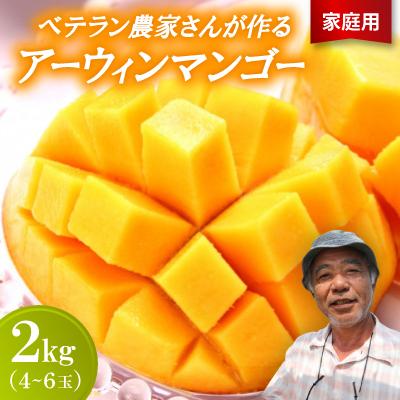 ふるさと納税 今帰仁村 【2027年7月から順次発送・家庭用】ベテラン農家さんが作る アーウィンマンゴー2kg(4〜6玉) | 