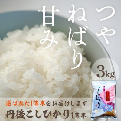 ふるさと納税 京丹後市 令和7年産 丹後こしひかり1等米3kg