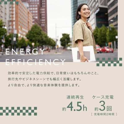 ふるさと納税 西原村 【&Less】ワイヤレスイヤホン(グレー) カナル型 Bluetooth Ver.5.3 |  | 03