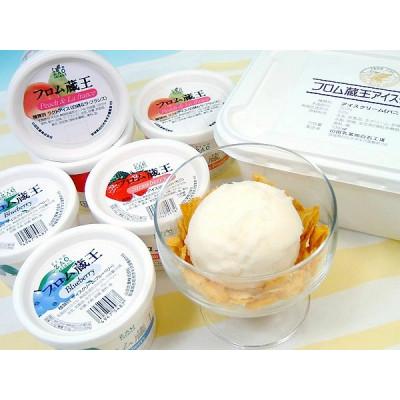 ふるさと納税 白石市 フロム蔵王 バニラアイスクリーム &amp; どっさりフルーツアイス3種セット
