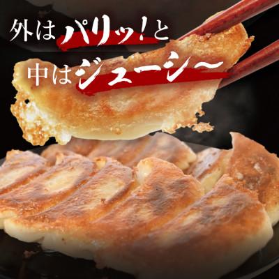 ふるさと納税 大洗町 「美明豚」冷凍餃子 80個(20個×4袋)(茨城県共通返礼品・行方市産) |  | 02