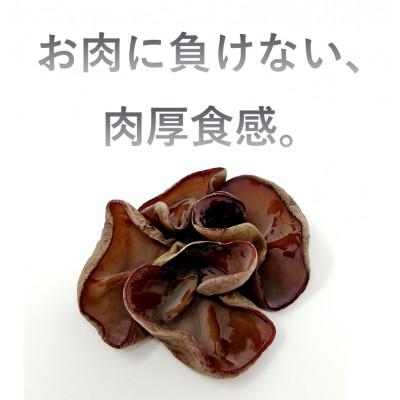 ふるさと納税 北中城村 生きくらげ 300g×3セット 沖縄県北中城村産