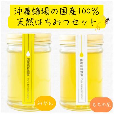 ふるさと納税 柳川市 沖養蜂場 100%国産天然はちみつセット