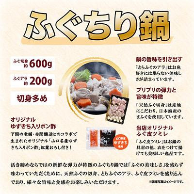 ふるさと納税 長門市 天然ふぐ唐揚げ付き天然ふぐ鍋とらふぐ刺身セット4-5人前 |  | 02