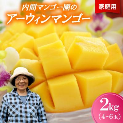 ふるさと納税 今帰仁村 [2026年7月から順次発送・家庭用]内間マンゴー園のアーウィンマンゴー2kg(4〜6玉)