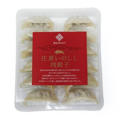 ふるさと納税 庄原市 庄原いのしし肉餃子 180g×4パック
