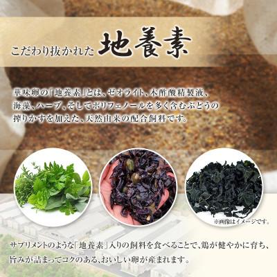 ふるさと納税 北広島町 ちよだファームのたまご 華味卵(はなみらん)60個 (50個+割れ補償10個) |  | 02