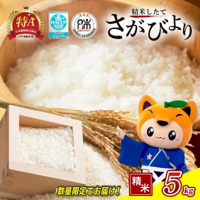 ふるさと納税 鹿島市 [令和7年産]佐賀県産 さがびより 白米 5kg