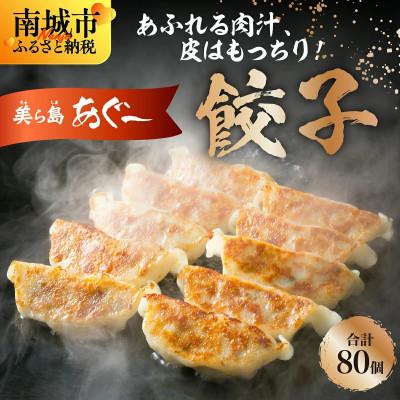 ふるさと納税 南城市 [美ら島あぐー]餃子(80個入り/4パック×20個入り)
