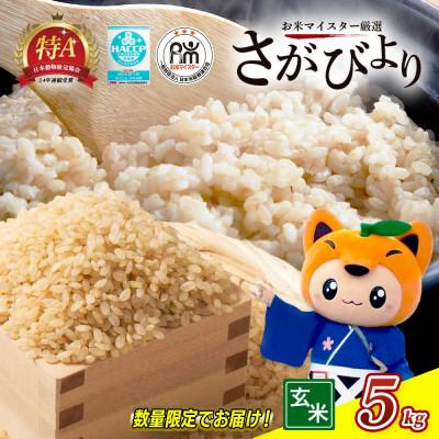 ふるさと納税 鹿島市 [令和7年産]佐賀県産 さがびより 玄米 5kg