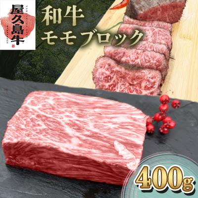 ふるさと納税 屋久島町 [屋久島牛]和牛モモブロック400g(屋久島町)