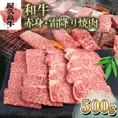 ふるさと納税 屋久島町 [屋久島牛]和牛赤身・霜降り焼肉500g(屋久島町)