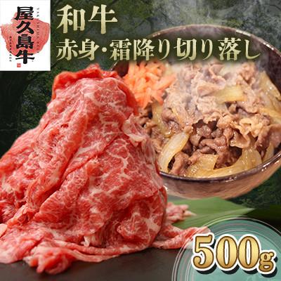 ふるさと納税 屋久島町 [屋久島牛]和牛赤身・霜降り切り落し(屋久島町)