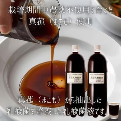 ふるさと納税 西桂町 【発酵生活サポート】富士山麓の自然の恵み_真菰(まこも)乳酸菌液 1.5L ×6本セットの画像