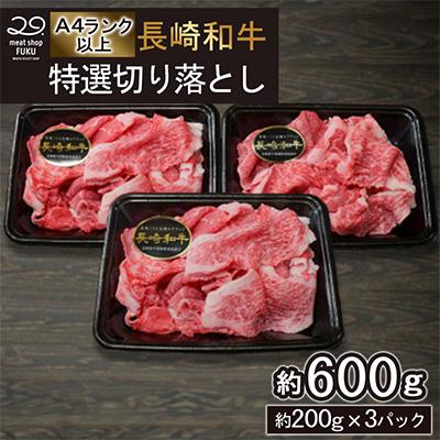 ふるさと納税 長崎市 【A4〜A5ランク】長崎和牛 特選切り落とし 約600g(約200g×3パック)(長崎市) | 