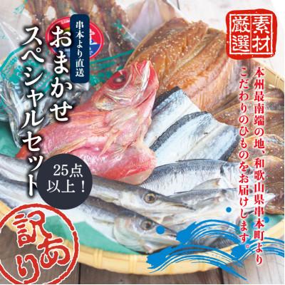 ふるさと納税 串本町 [訳あり干物セット]25点以上!おざきのひもの「おまかせスペシャルセット」[ozk102-1]