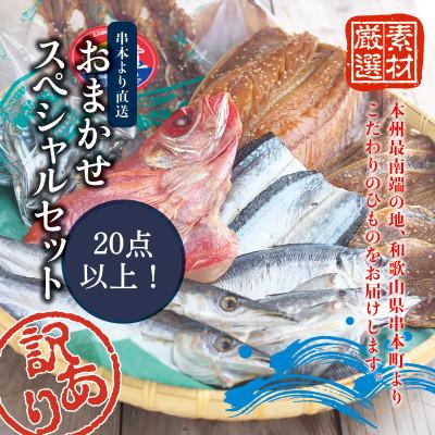 ふるさと納税 串本町 [訳あり干物セット]20点以上!おざきのひもの「おまかせスペシャルセット」[ozk103-1]