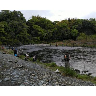 ふるさと納税 青梅市 奥多摩川 やまめいわなにじます 年間遊漁証 1人分